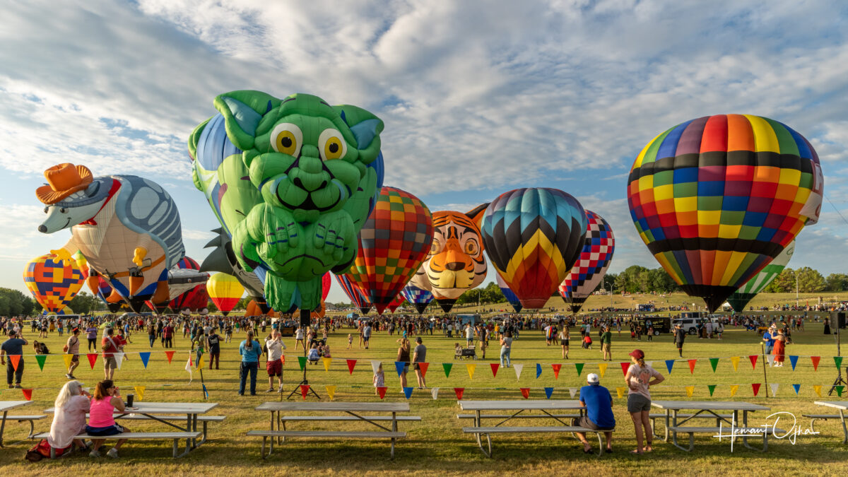 Plano Balloon Fest Blog