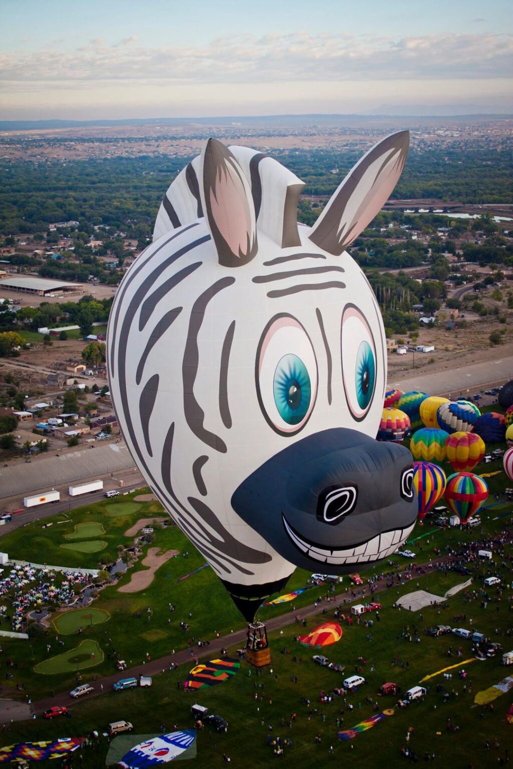 Plano Balloon Fest Blog